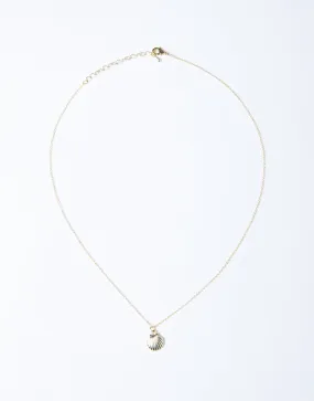 Dainty Shell Necklace