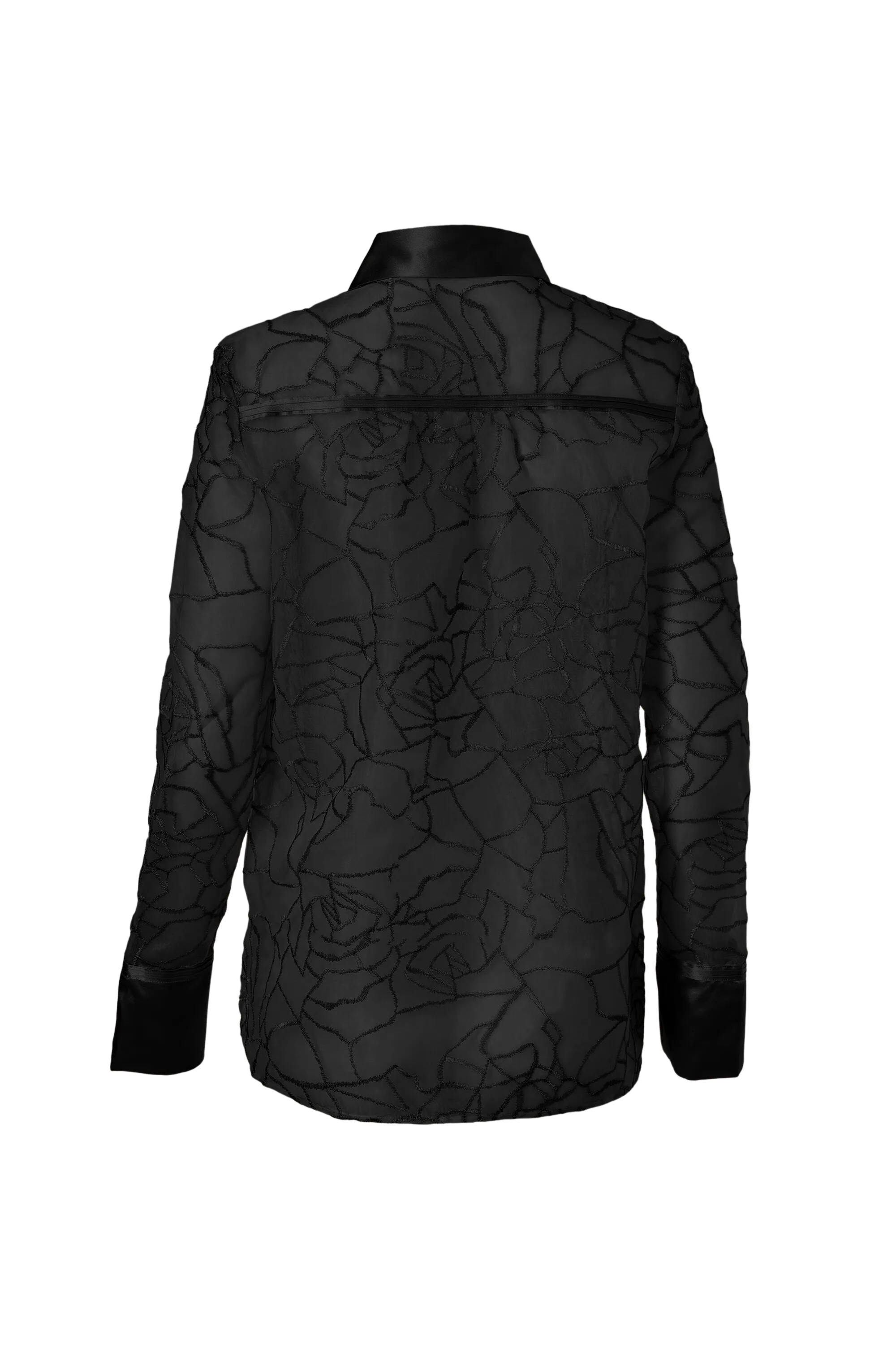 Transparent Modern Blouse - Black
